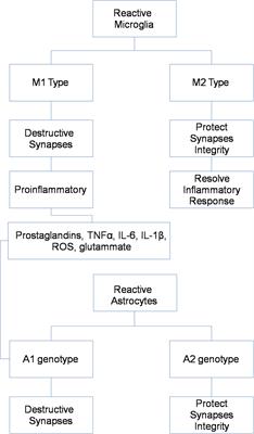 Gliosis and Neurodegenerative Diseases: The Role of PET and MR Imaging